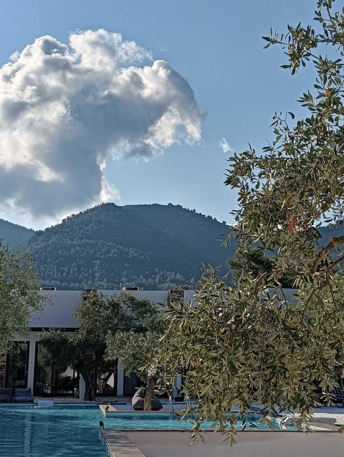 Hotel The Olive Hills Skala Rachoni  Zewnętrze zdjęcie