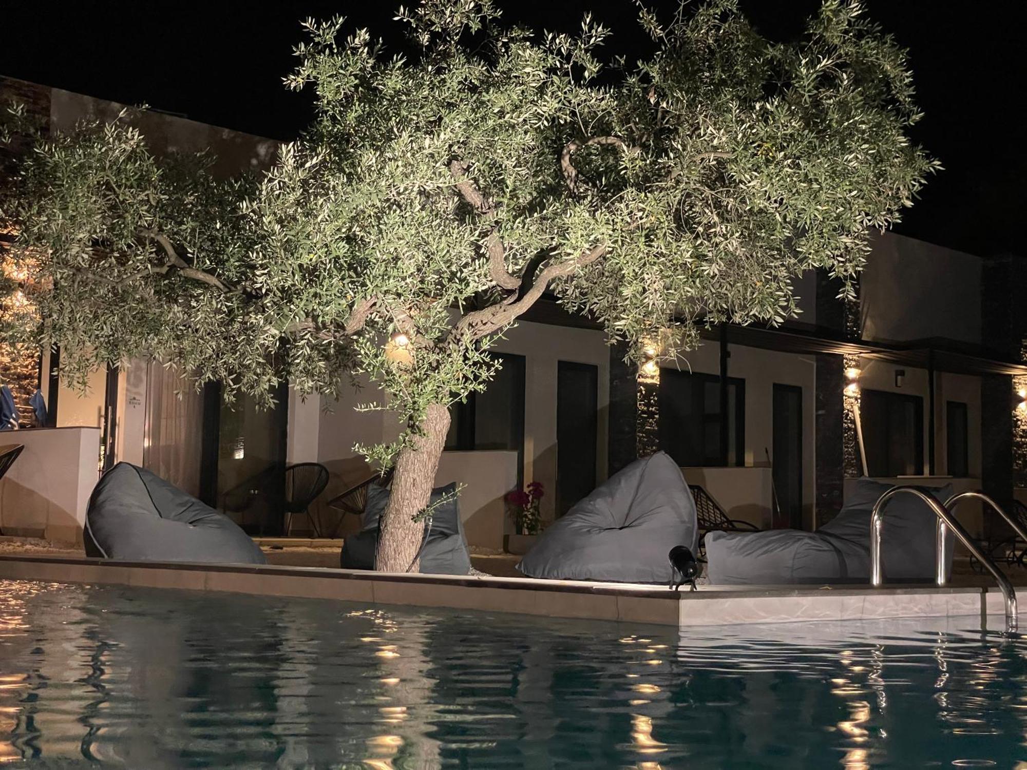 Hotel The Olive Hills Skala Rachoni  Zewnętrze zdjęcie